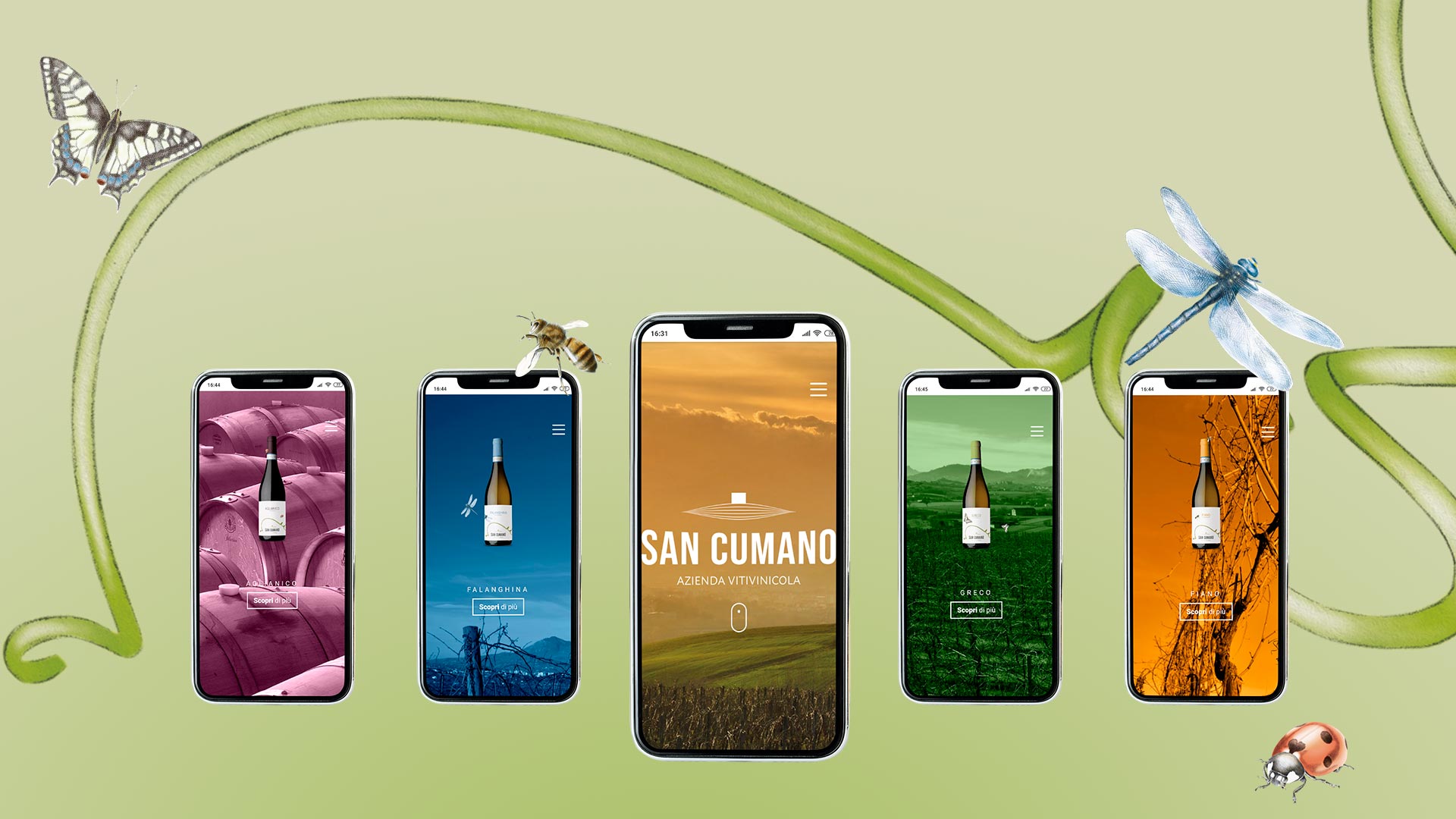 Cover san cumano 1