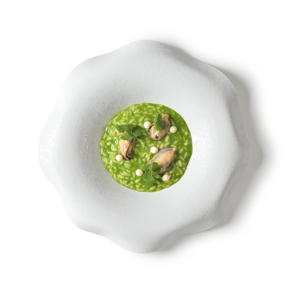 Piatti bubali 4