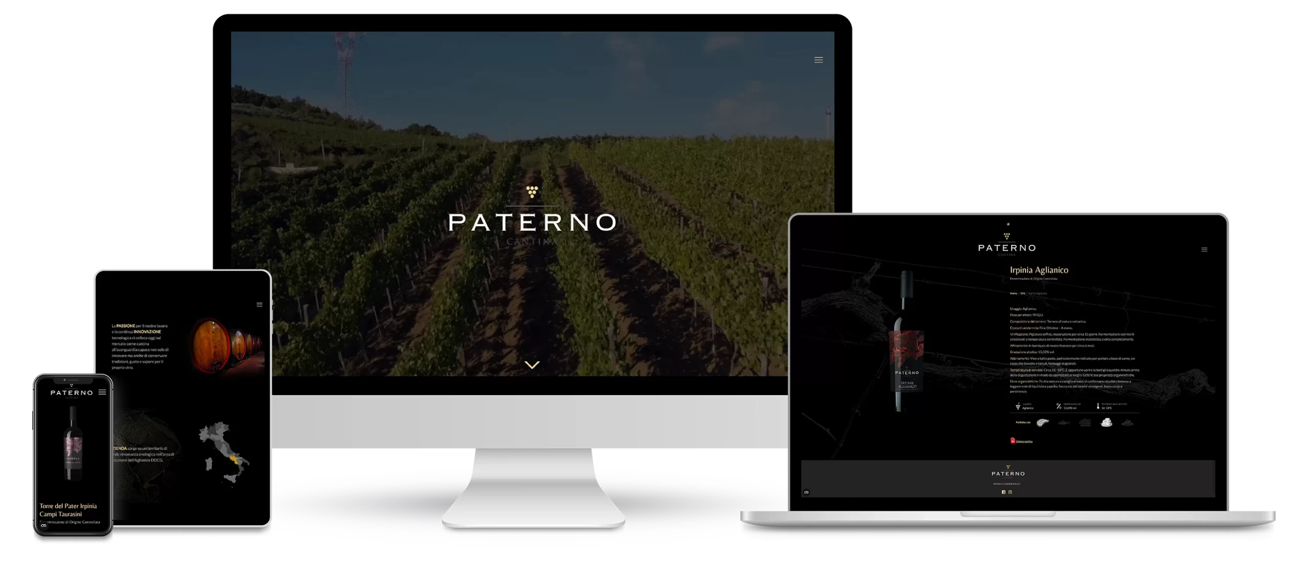 Intro paterno scaled