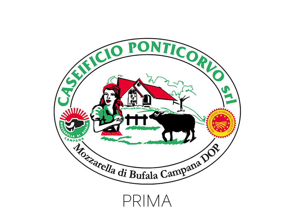 Logo ponticorvo gif