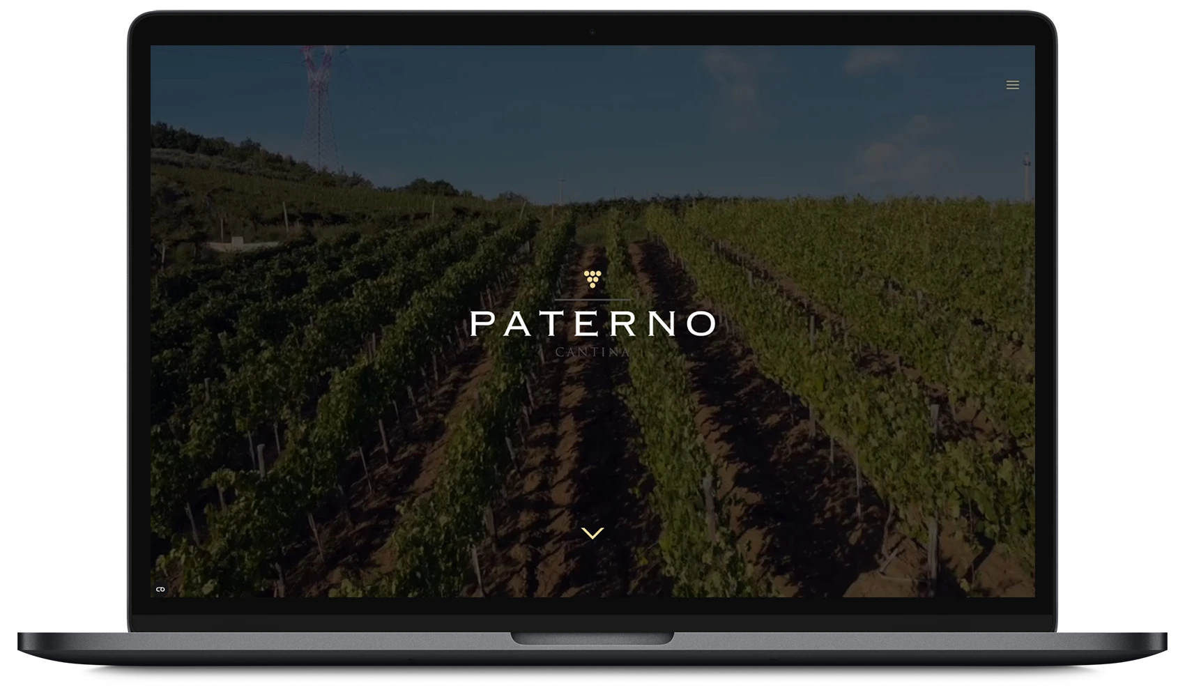 Mac book pro paterno