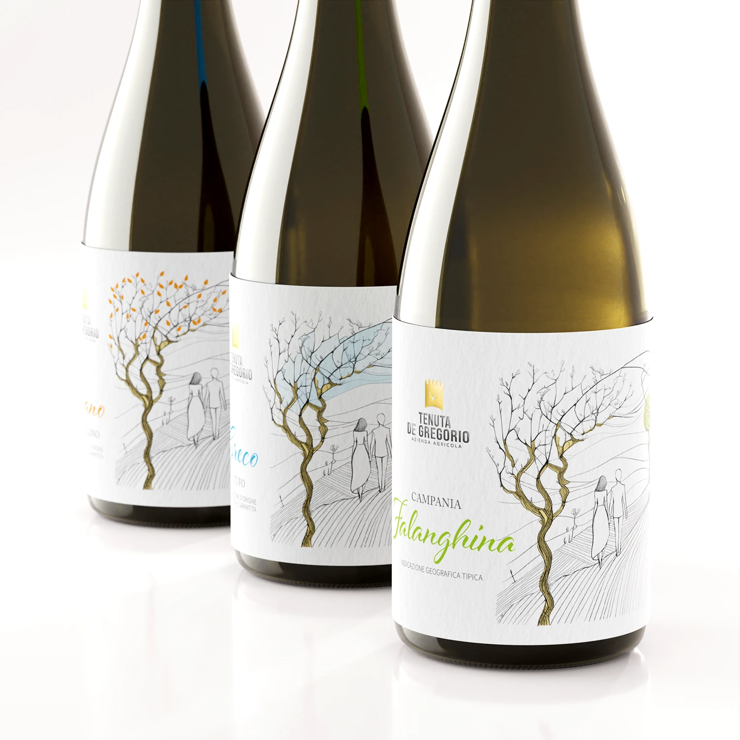 disegno etichette vini