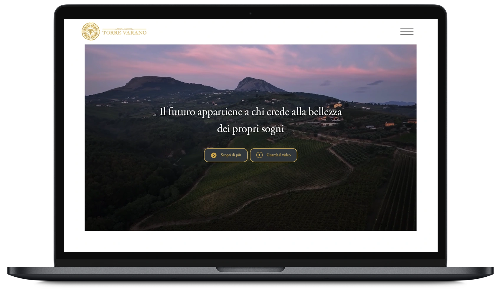 Mac book pro torrevarano