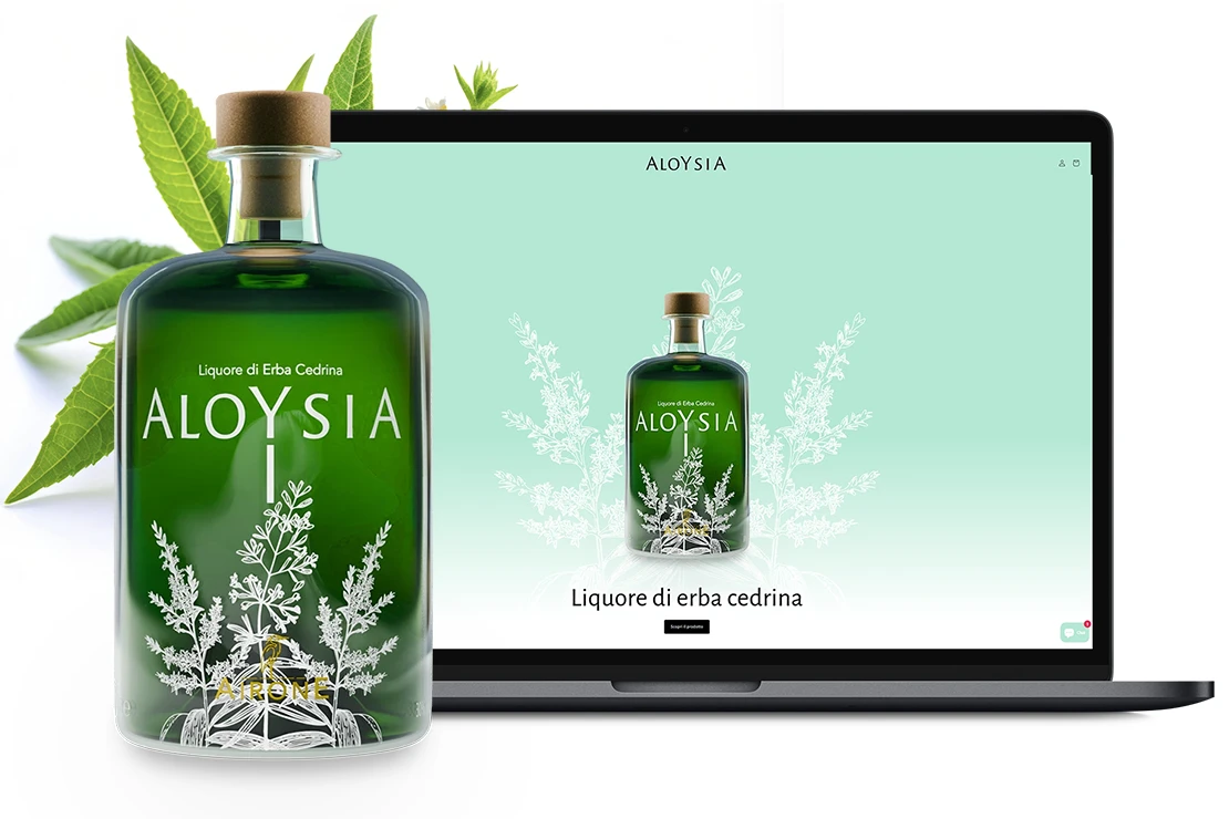 Immagine in evidenza aloysia